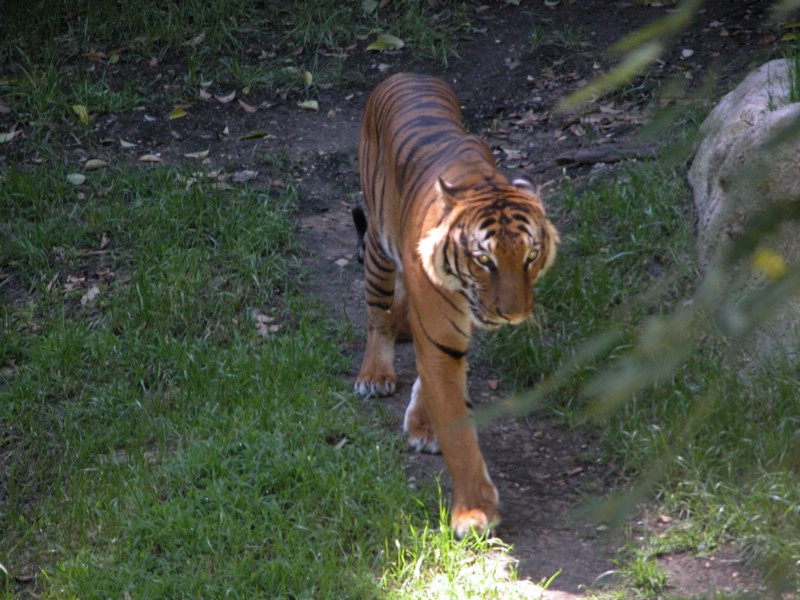 DSCN0776.JPG