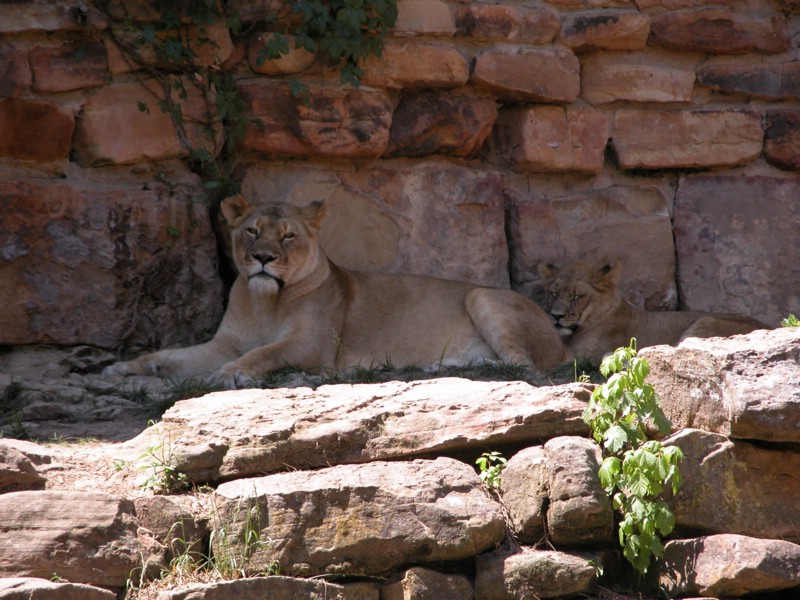 DSCN0779.JPG