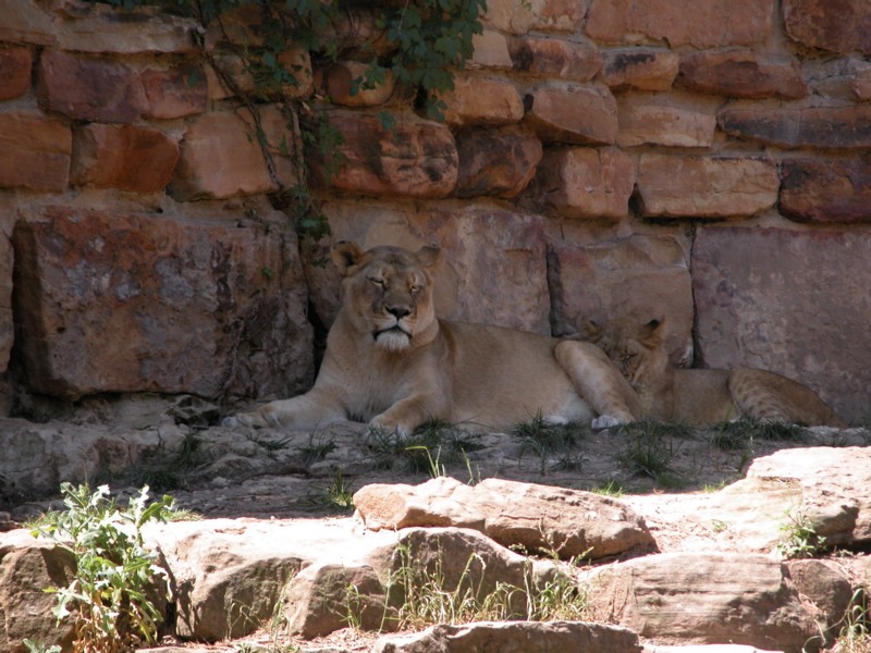 DSCN0780.JPG