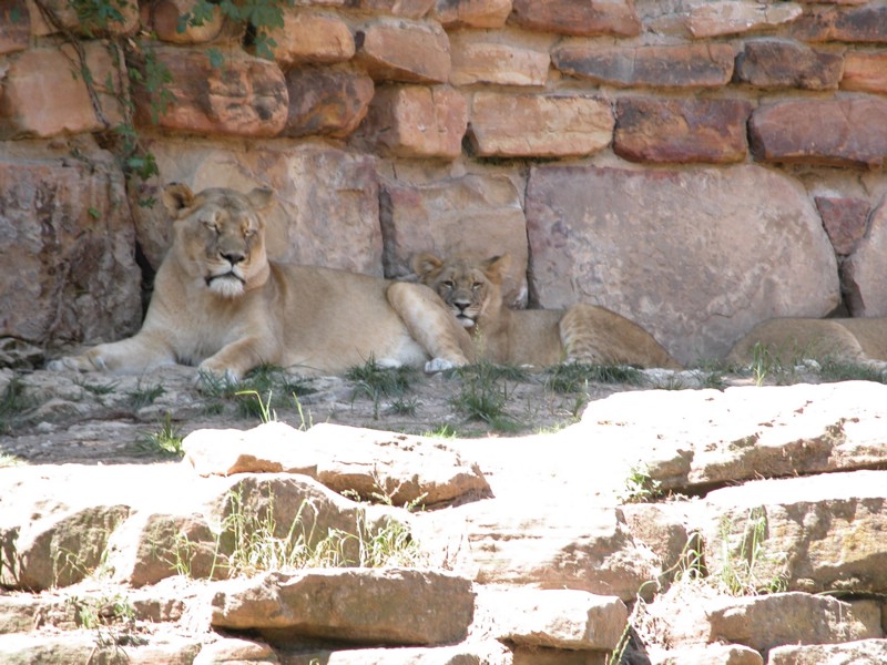 DSCN0781.JPG