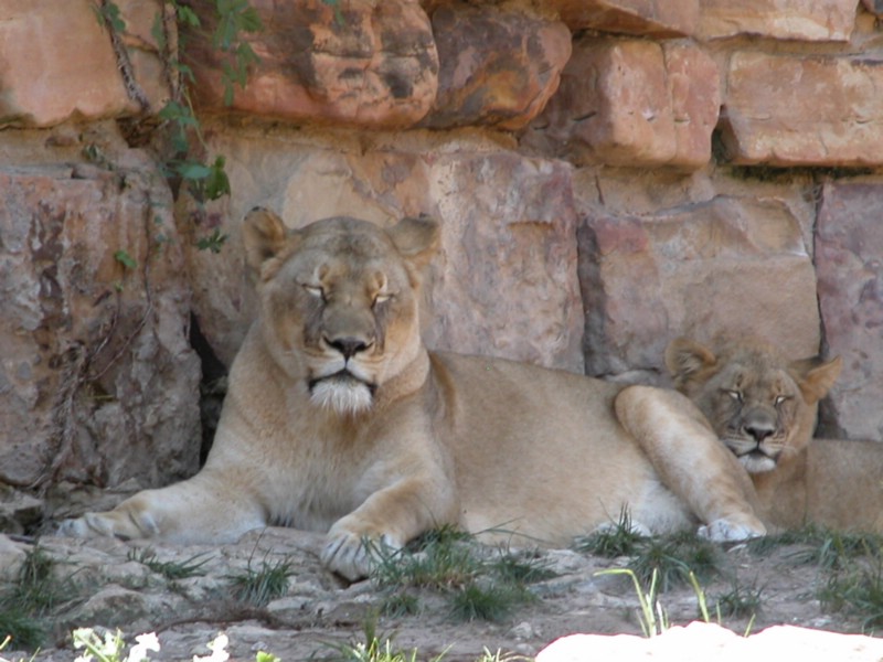 DSCN0782.JPG