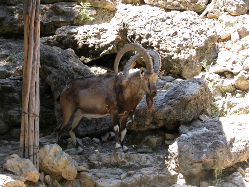 DSCN0785.JPG