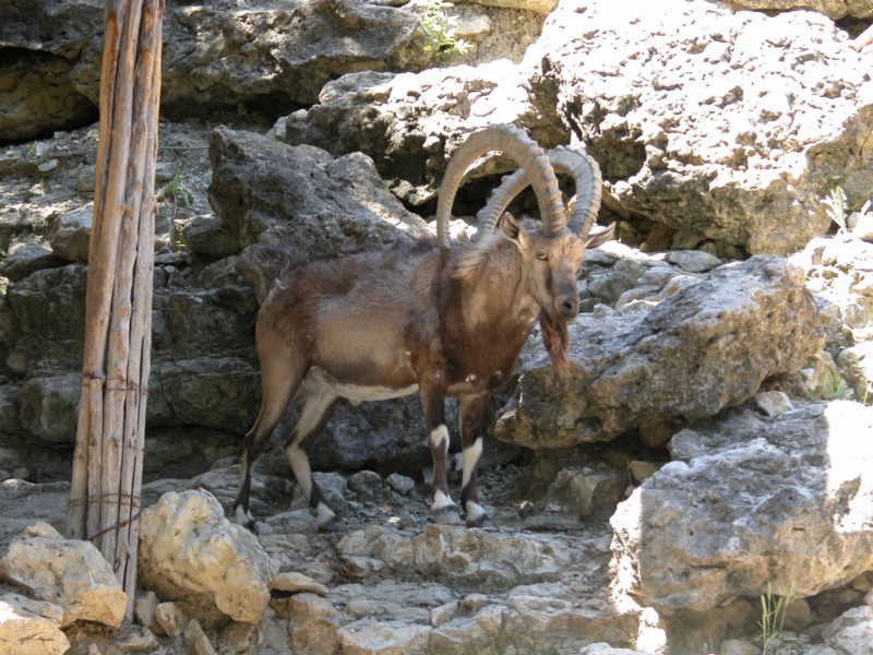 DSCN0786.JPG