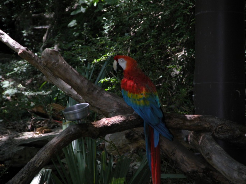 DSCN0787.JPG