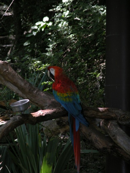 DSCN0788.JPG