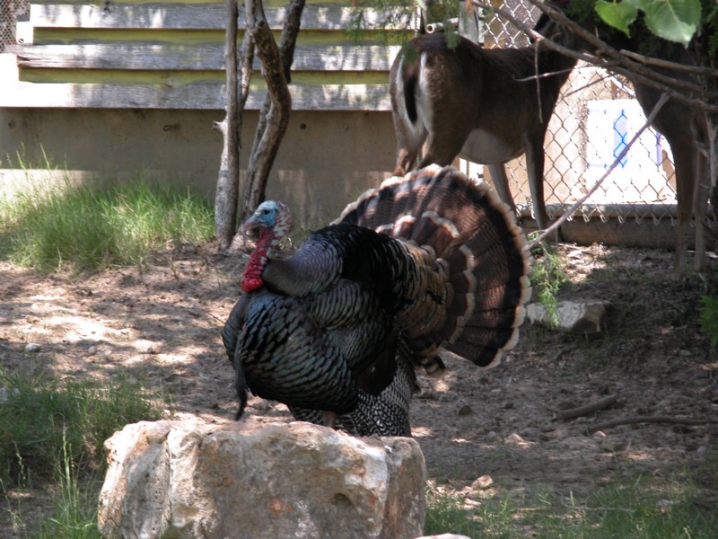 DSCN0790.JPG