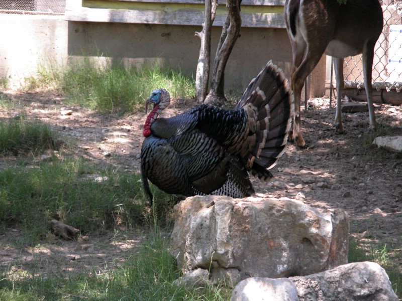 DSCN0792.JPG