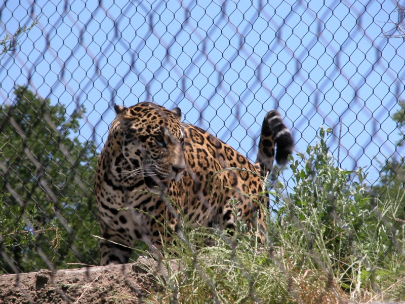 DSCN0794.JPG