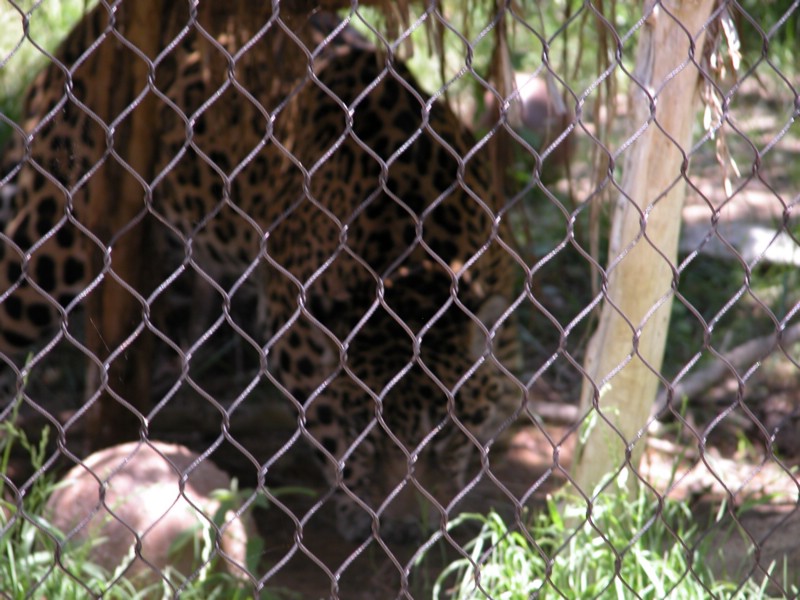 DSCN0795.JPG