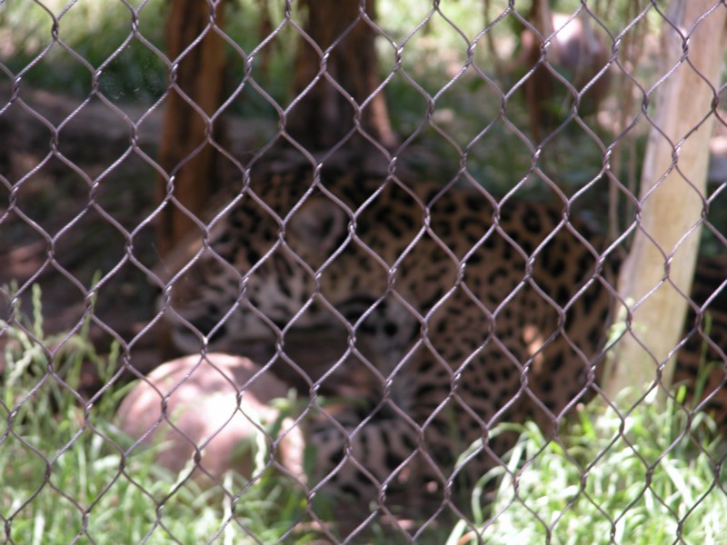 DSCN0796.JPG