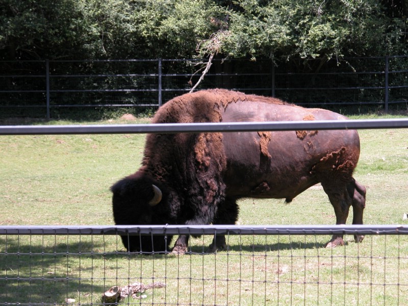 DSCN0797.JPG