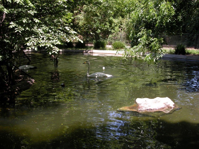DSCN0799.JPG