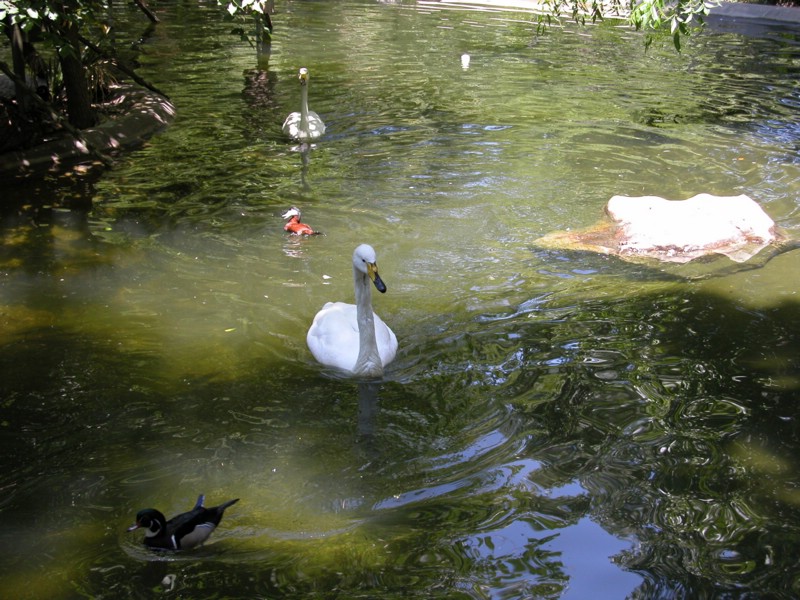 DSCN0800.JPG