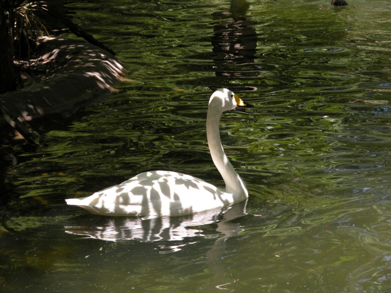 DSCN0802.JPG