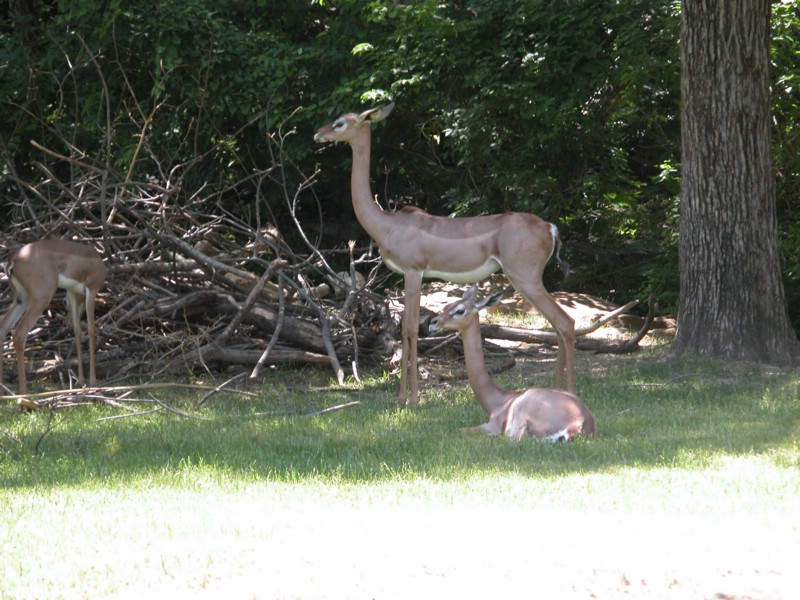 DSCN0803.JPG