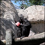 DSCN0717.JPG