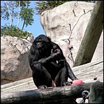 DSCN0718.JPG