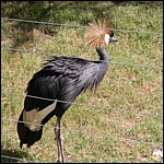 DSCN0720.JPG