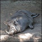 DSCN0721.JPG