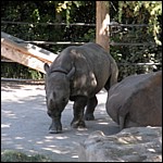 DSCN0722.JPG