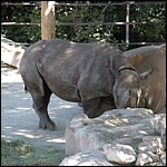 DSCN0723.JPG