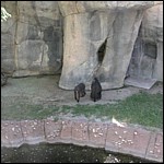 DSCN0724.JPG