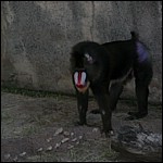 DSCN0725.JPG
