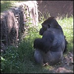 DSCN0730.JPG