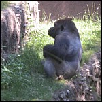 DSCN0731.JPG
