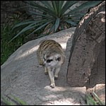 DSCN0732.JPG