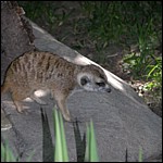 DSCN0733.JPG