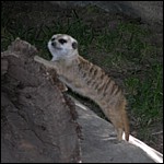 DSCN0734.JPG