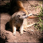 DSCN0735.JPG