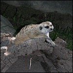 DSCN0737.JPG