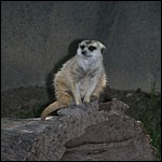 DSCN0738.JPG