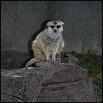 DSCN0739.JPG