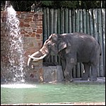 DSCN0741.JPG
