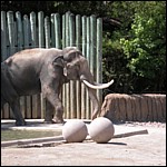 DSCN0744.JPG