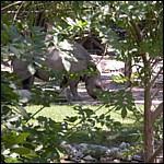 DSCN0745.JPG