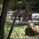 DSCN0746.JPG