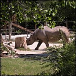 DSCN0747.JPG
