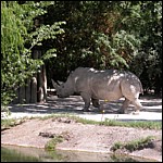 DSCN0748.JPG