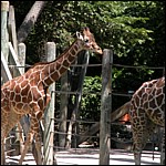 DSCN0750.JPG