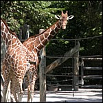 DSCN0751.JPG