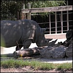 DSCN0753.JPG