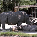 DSCN0754.JPG
