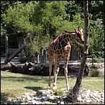 DSCN0756.JPG