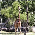 DSCN0757.JPG
