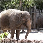 DSCN0759.JPG