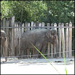 DSCN0760.JPG